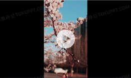 随风视频,揭秘随风视频的魅力与影响力